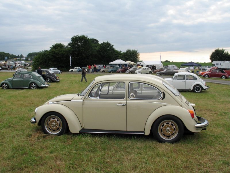 Bug-In 2008 – zdjęcie 64