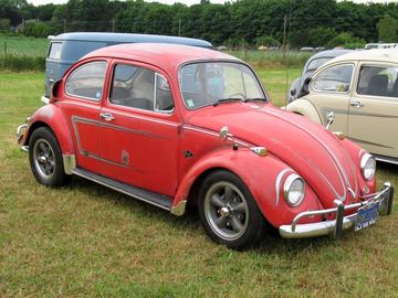 Zdjęcie 66