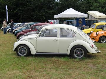 Zdjęcie 70