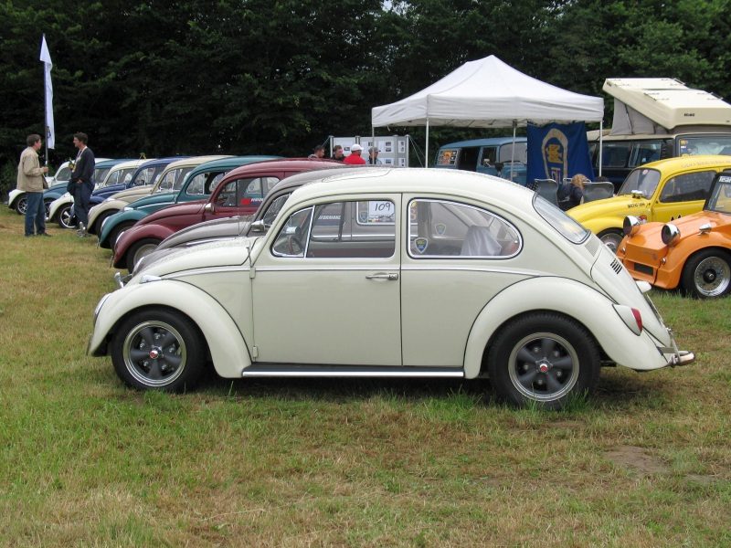 Bug-In 2008 – zdjęcie 70