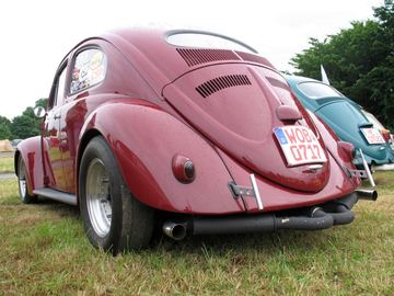 Zdjęcie 72