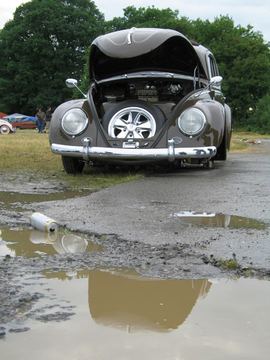 Zdjęcie 73