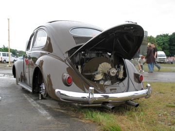 Zdjęcie 75