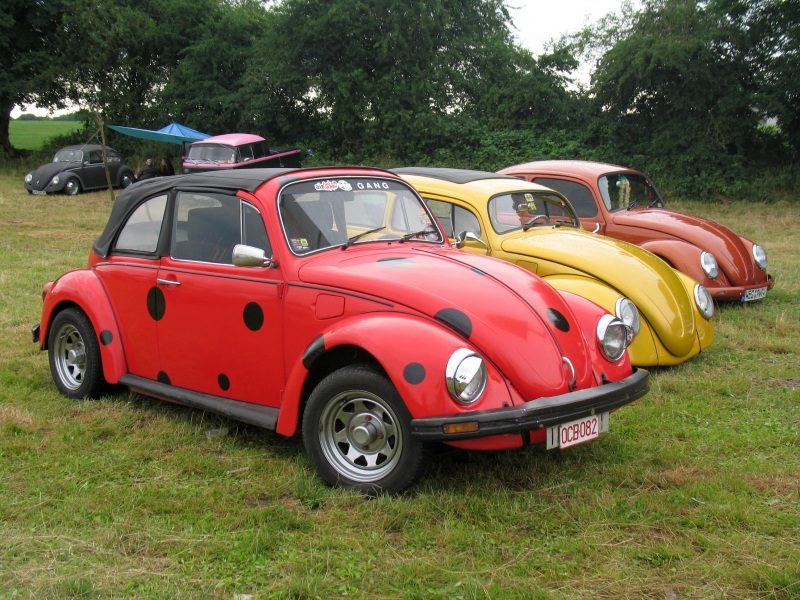 Bug-In 2008 – zdjęcie 82