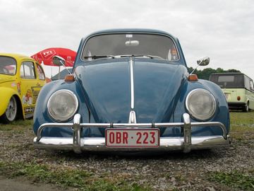 Zdjęcie 89