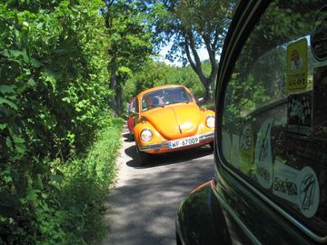 Zdjęcie 15
