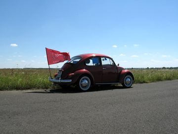Zdjęcie 40