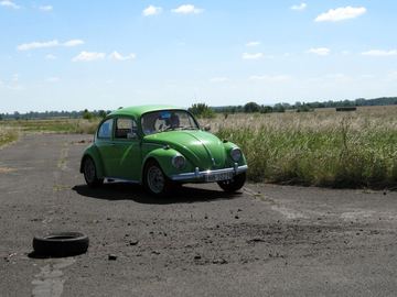Zdjęcie 44