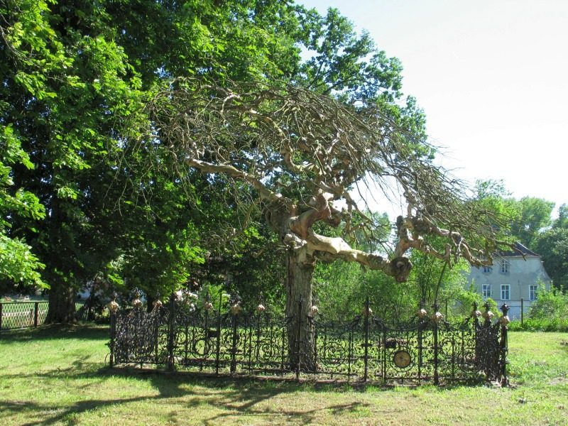 Choczewo 2008 – zdjęcie 46