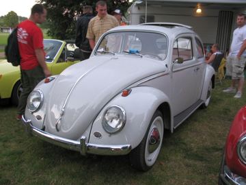 Zdjęcie 57