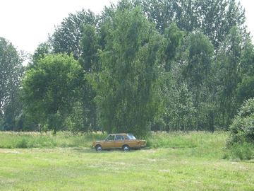 Zdjęcie 146