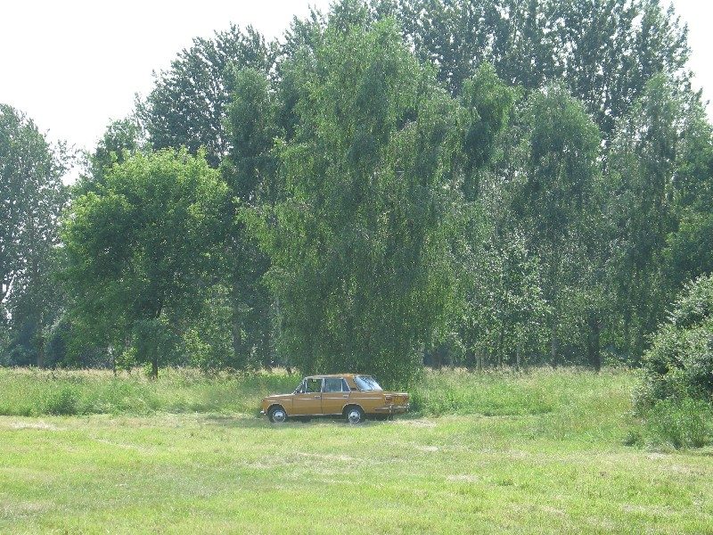 Classicauto Track Day Lotnisko Ułęż – zdjęcie 146