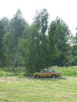 Zdjęcie 150