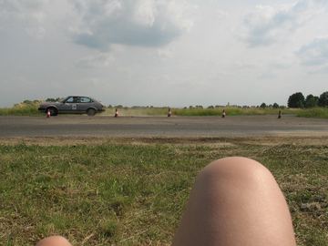 Zdjęcie 161