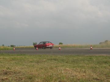 Zdjęcie 181