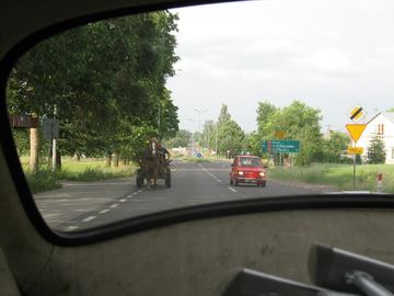 Zdjęcie 190