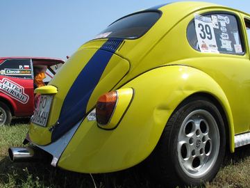 Zdjęcie 55