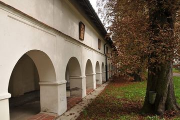 Zdjęcie 113