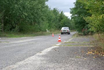 Zdjęcie 152
