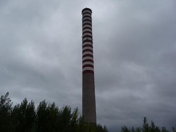 Zdjęcie 204