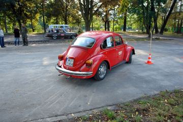 Zdjęcie 52