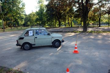 Zdjęcie 61