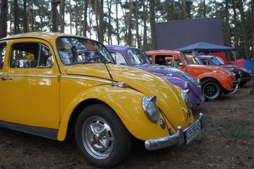 Zdjęcie 11