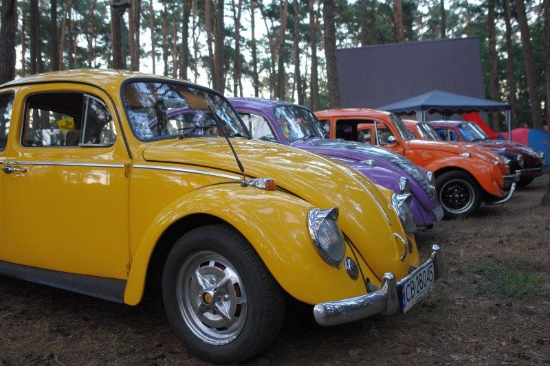 Monte Garbo 2008 – zdjęcie 11