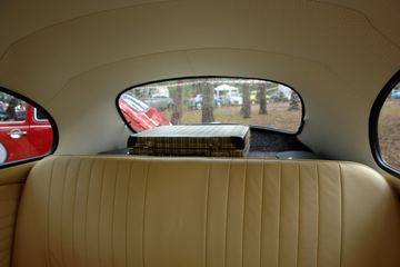 Zdjęcie 196