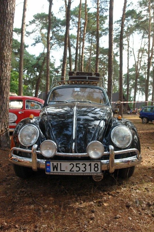 Monte Garbo 2008 – zdjęcie 201