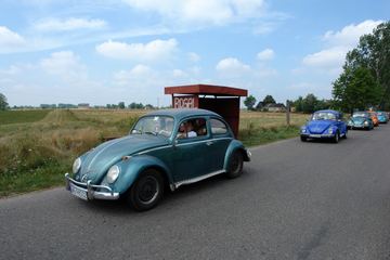 Zdjęcie 228