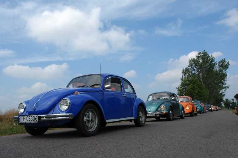 Monte Garbo 2008 – zdjęcie 229