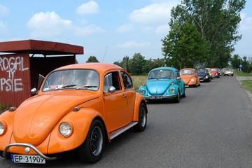 Zdjęcie 230