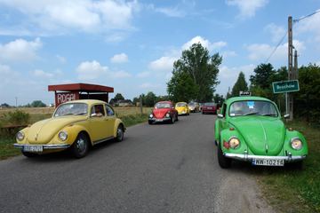 Zdjęcie 232