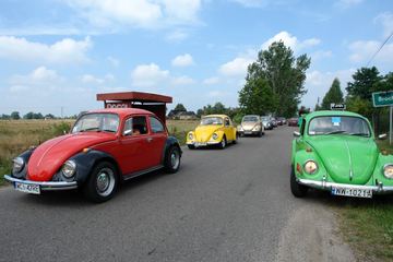 Zdjęcie 233