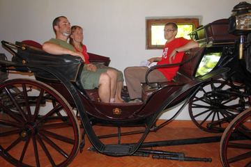 Zdjęcie 239