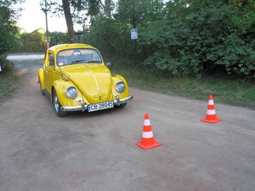 Zdjęcie 251