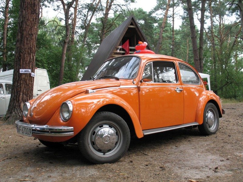 Monte Garbo 2008 – zdjęcie 260