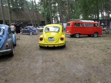 Zdjęcie 264