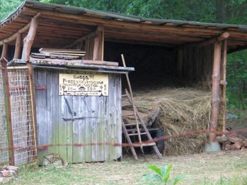 Zdjęcie 269