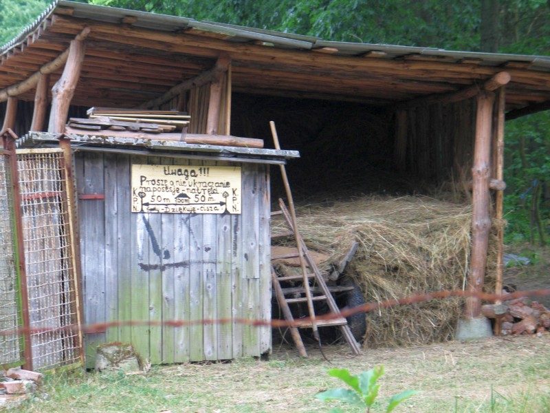 Monte Garbo 2008 – zdjęcie 269