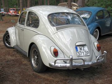 Zdjęcie 272