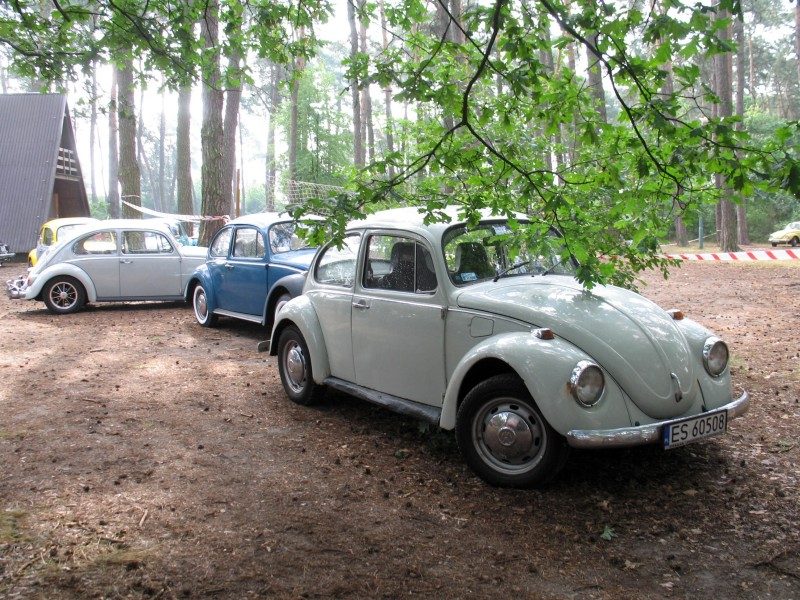 Monte Garbo 2008 – zdjęcie 274
