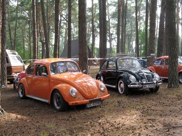 Zdjęcie 281