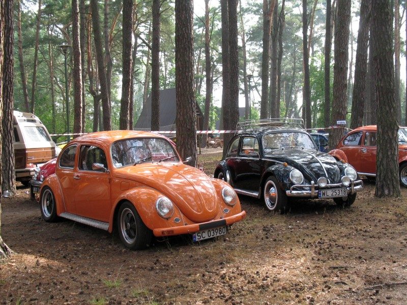 Monte Garbo 2008 – zdjęcie 281