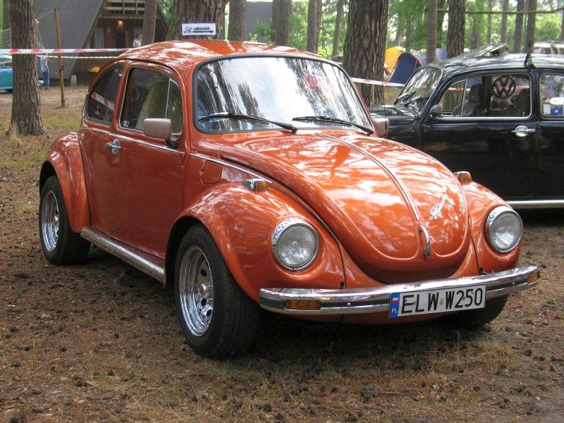 Monte Garbo 2008 – zdjęcie 282