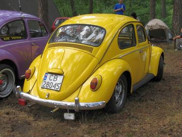Zdjęcie 283