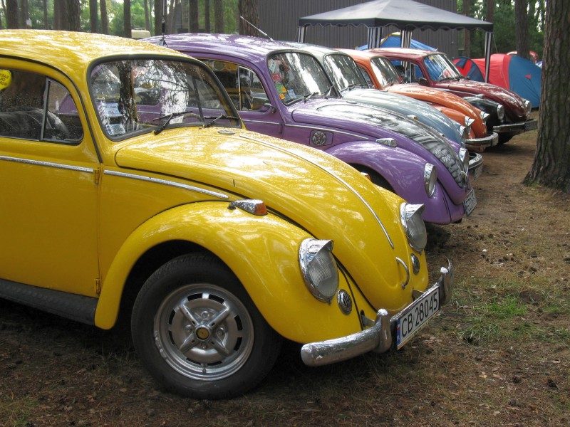 Monte Garbo 2008 – zdjęcie 284