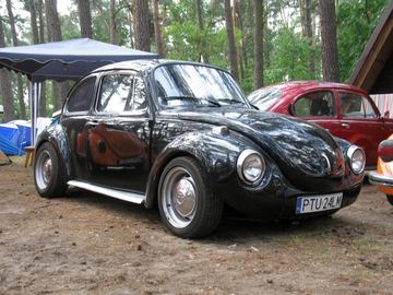 Zdjęcie 285