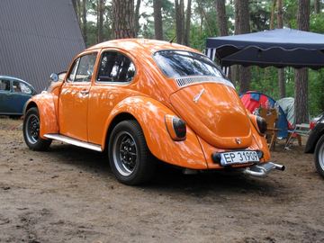 Zdjęcie 286